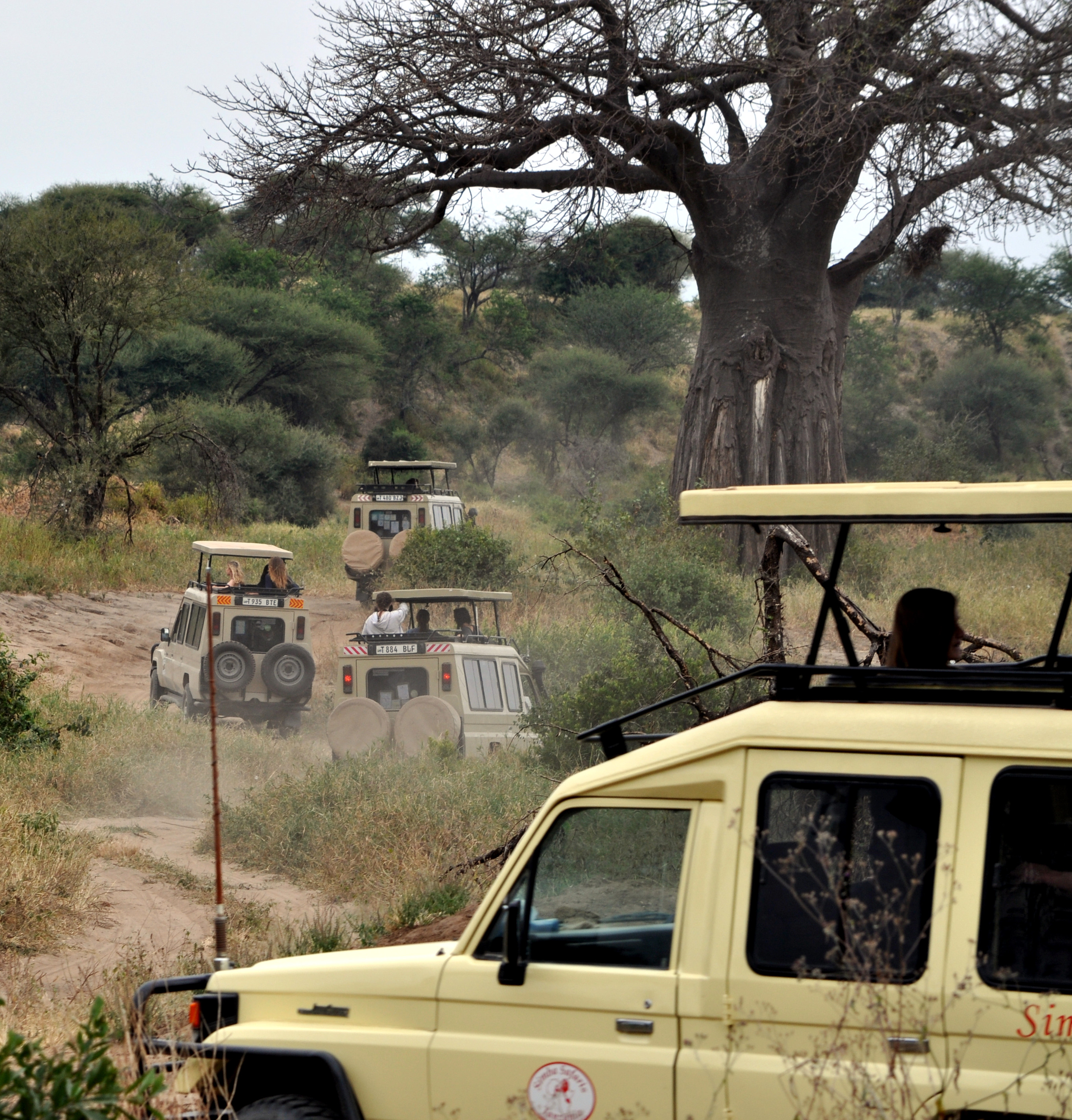 Biology Trip to Tanzania - July 2015